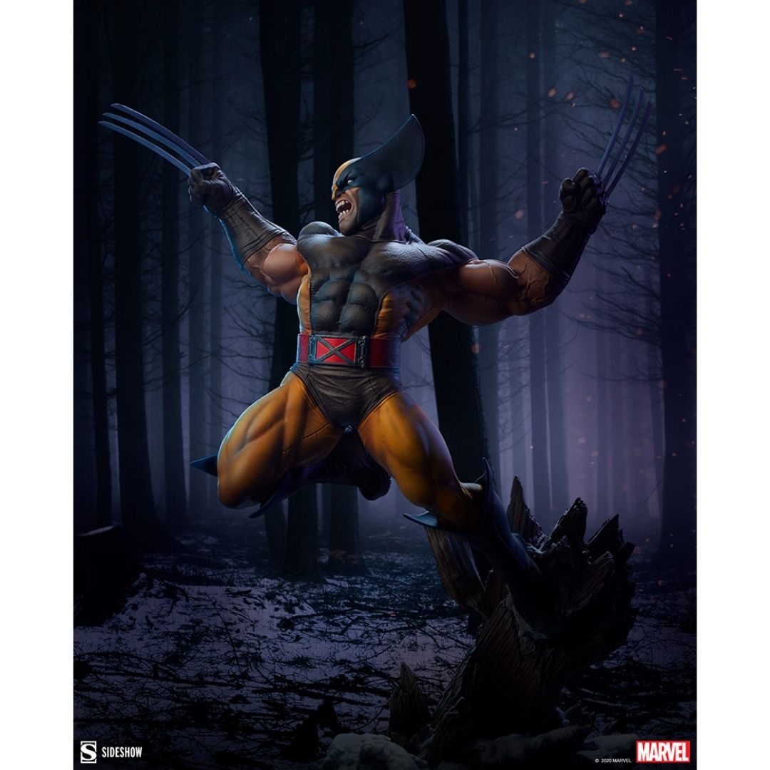 X-Men Wolverine Premium Format Figure by Sideshow Collectibles -Sideshow Collectibles - India - www.superherotoystore.com