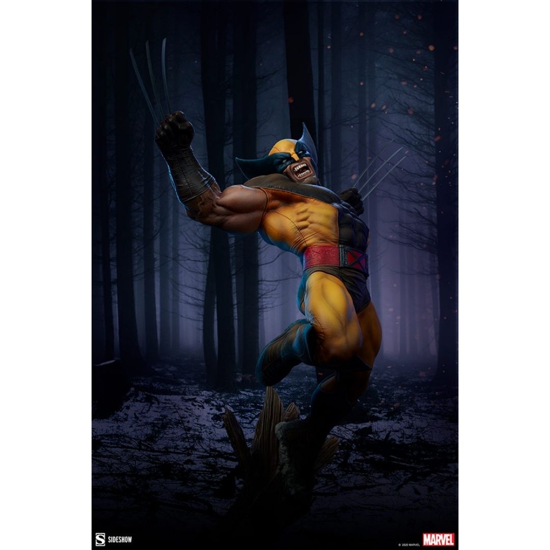 X-Men Wolverine Premium Format Figure by Sideshow Collectibles -Sideshow Collectibles - India - www.superherotoystore.com