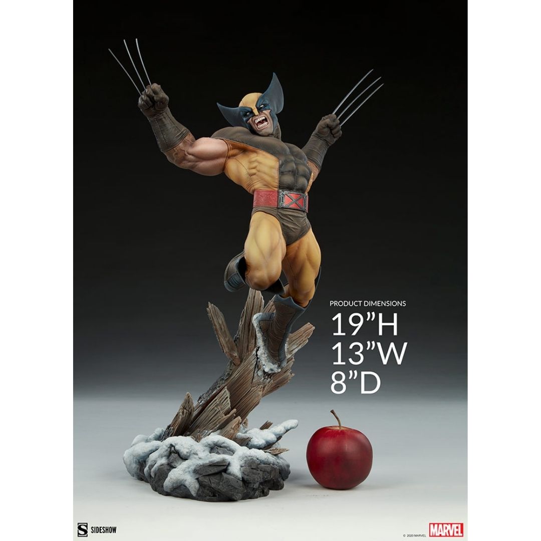 X-Men Wolverine Premium Format Figure by Sideshow Collectibles -Sideshow Collectibles - India - www.superherotoystore.com