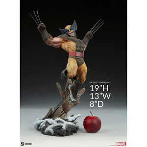 X-Men Wolverine Premium Format Figure by Sideshow Collectibles -Sideshow Collectibles - India - www.superherotoystore.com