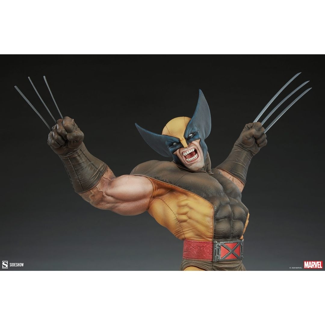 X-Men Wolverine Premium Format Figure by Sideshow Collectibles -Sideshow Collectibles - India - www.superherotoystore.com