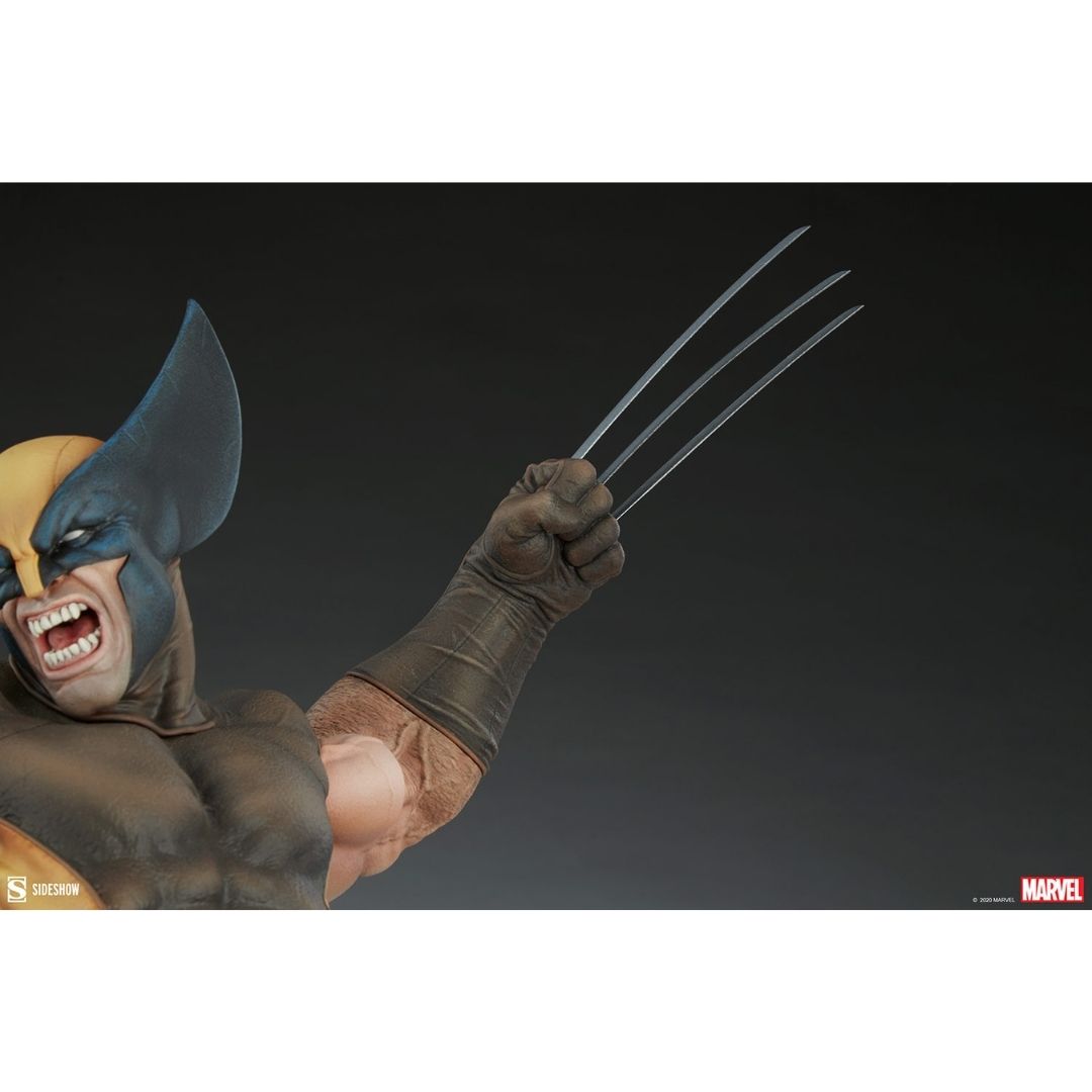 X-Men Wolverine Premium Format Figure by Sideshow Collectibles -Sideshow Collectibles - India - www.superherotoystore.com