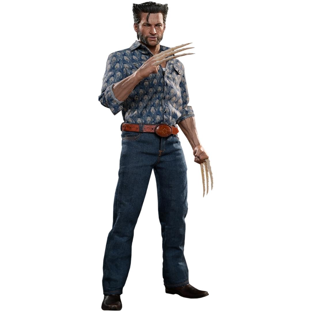 Wolverine (1973 Version) X-Men Sixth Scale Figure by Hot Toys -Hot Toys - India - www.superherotoystore.com