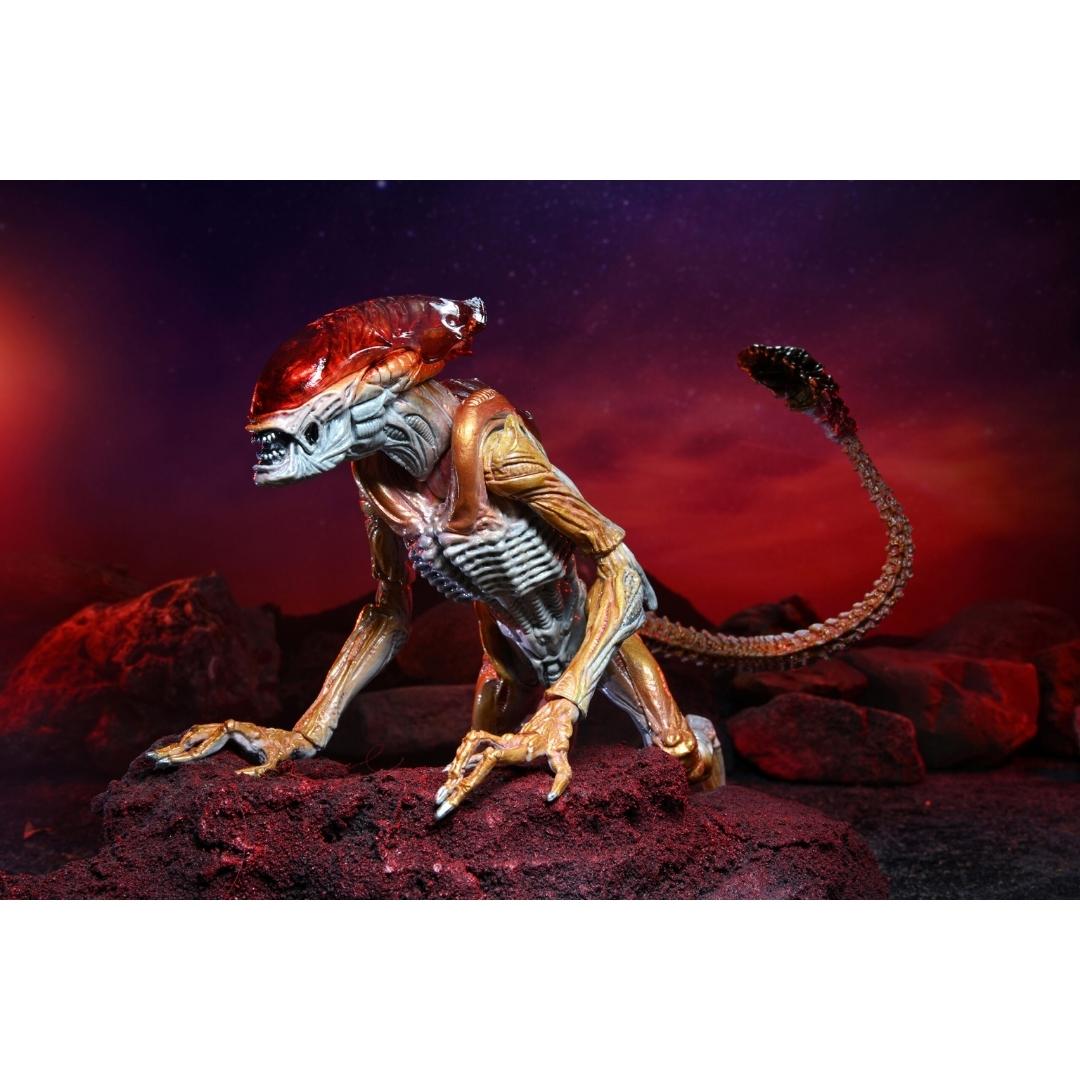 Aliens Kenner Tribute Ultimate Panther Alien 7 Action Figure by NECA -NECA - India - www.superherotoystore.com