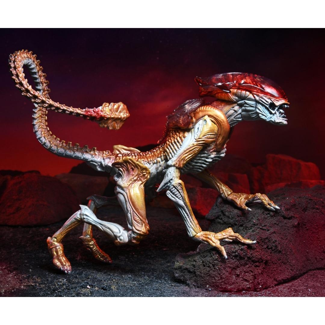 Aliens Kenner Tribute Ultimate Panther Alien 7 Action Figure by NECA -NECA - India - www.superherotoystore.com