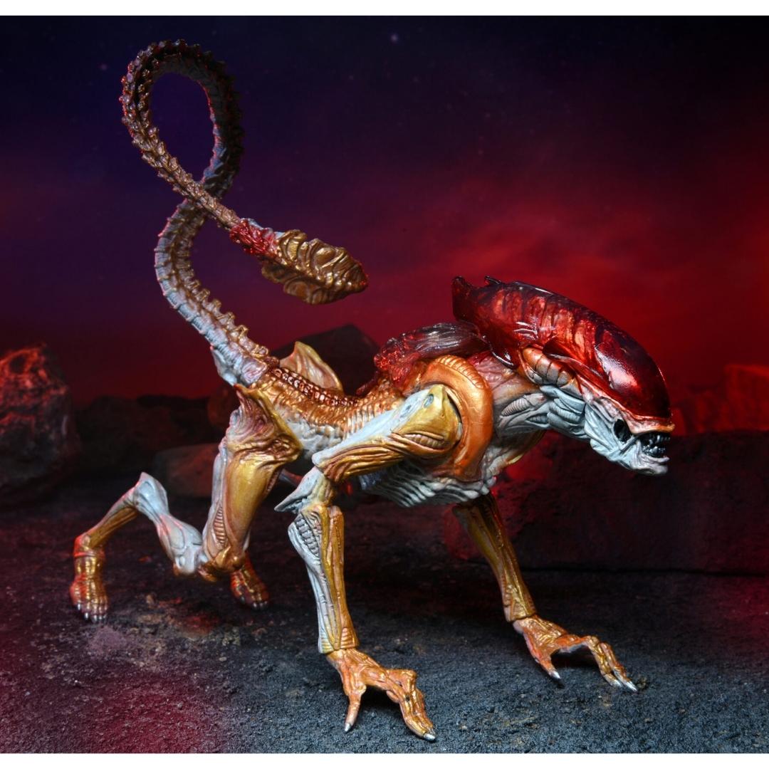 Aliens Kenner Tribute Ultimate Panther Alien 7 Action Figure by NECA -NECA - India - www.superherotoystore.com