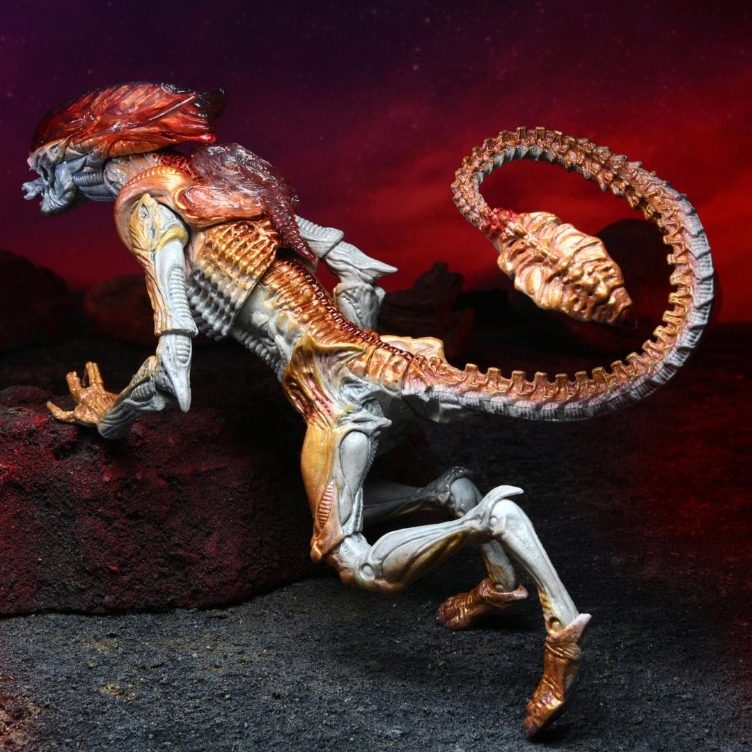 Aliens Kenner Tribute Ultimate Panther Alien 7 Action Figure by NECA -NECA - India - www.superherotoystore.com