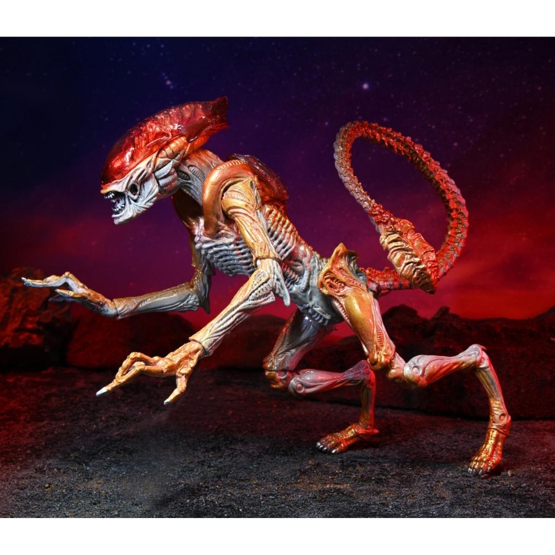 Aliens Kenner Tribute Ultimate Panther Alien 7 Action Figure by NECA -NECA - India - www.superherotoystore.com