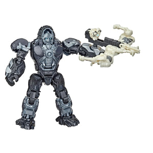 Transformers: Rise of the Beasts Optimus Primal and Arrowstripe Action Figures by Hasbro -Hasbro - India - www.superherotoystore.com