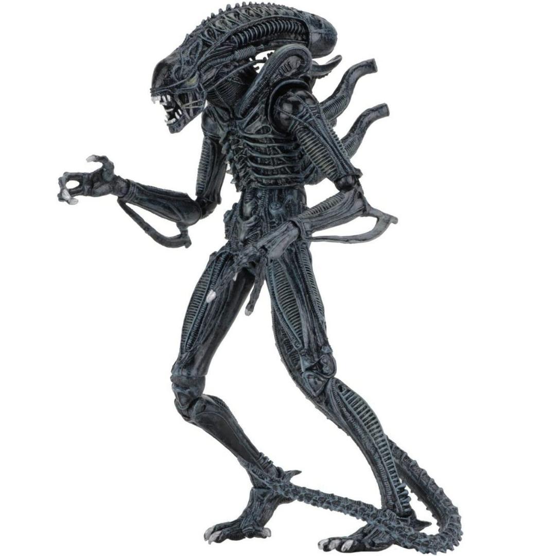 Ultimate Aliens Warriors (1986) Blue 7 Scale Action Figure by NECA -NECA - India - www.superherotoystore.com