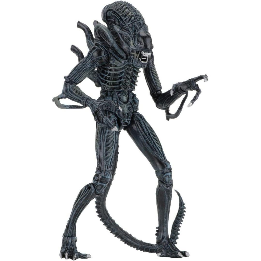 Ultimate Aliens Warriors (1986) Blue 7 Scale Action Figure by NECA -NECA - India - www.superherotoystore.com