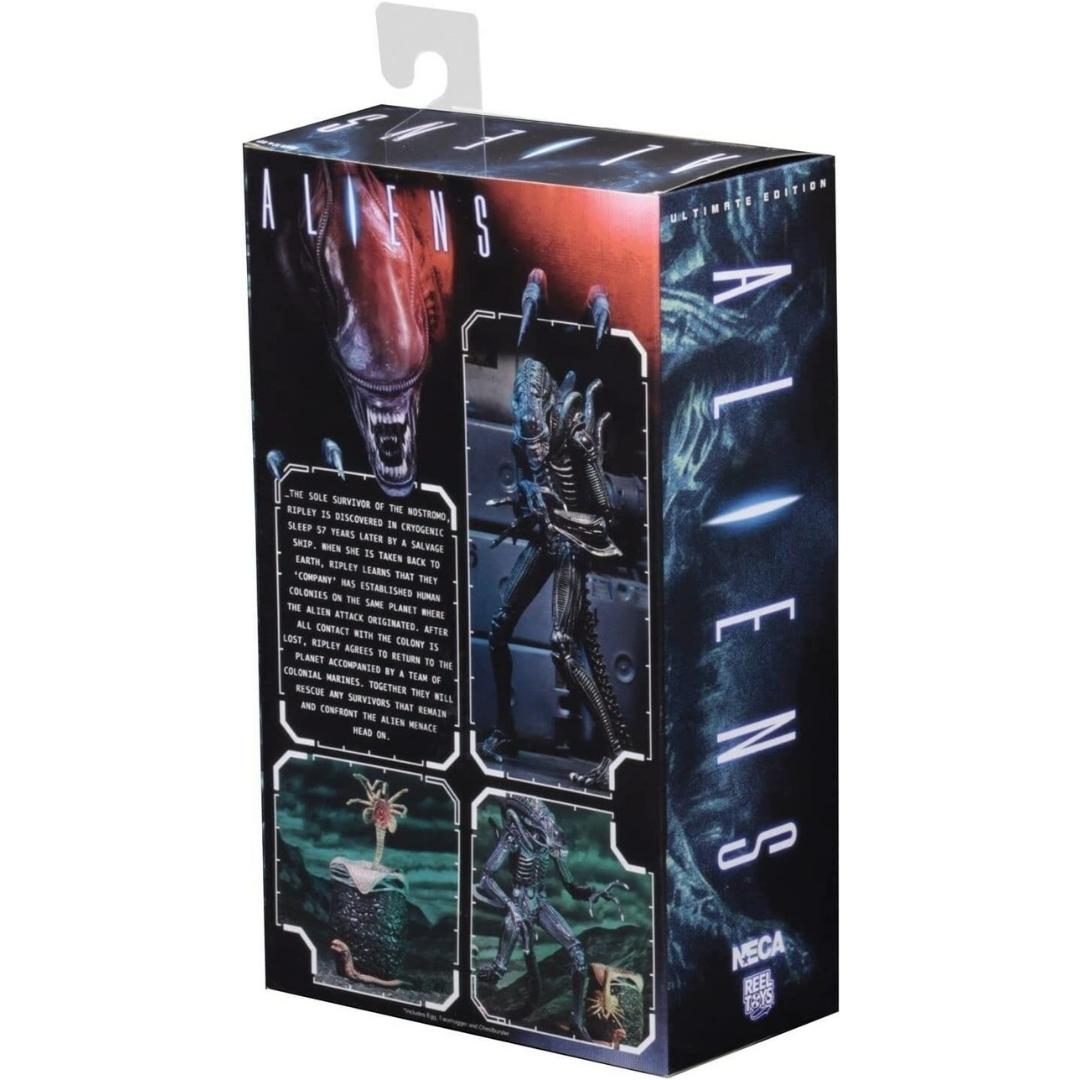 Ultimate Aliens Warriors (1986) Blue 7 Scale Action Figure by NECA -NECA - India - www.superherotoystore.com