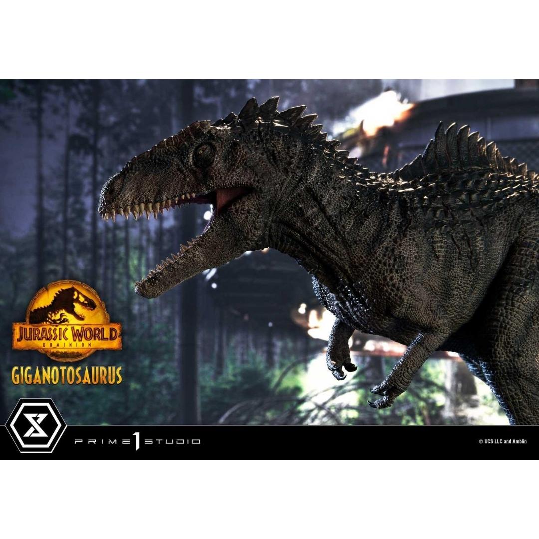 Jurassic World: Dominion (Film) Giganotosaurus Statue by Prime 1 Studio -Prime 1 Studio - India - www.superherotoystore.com