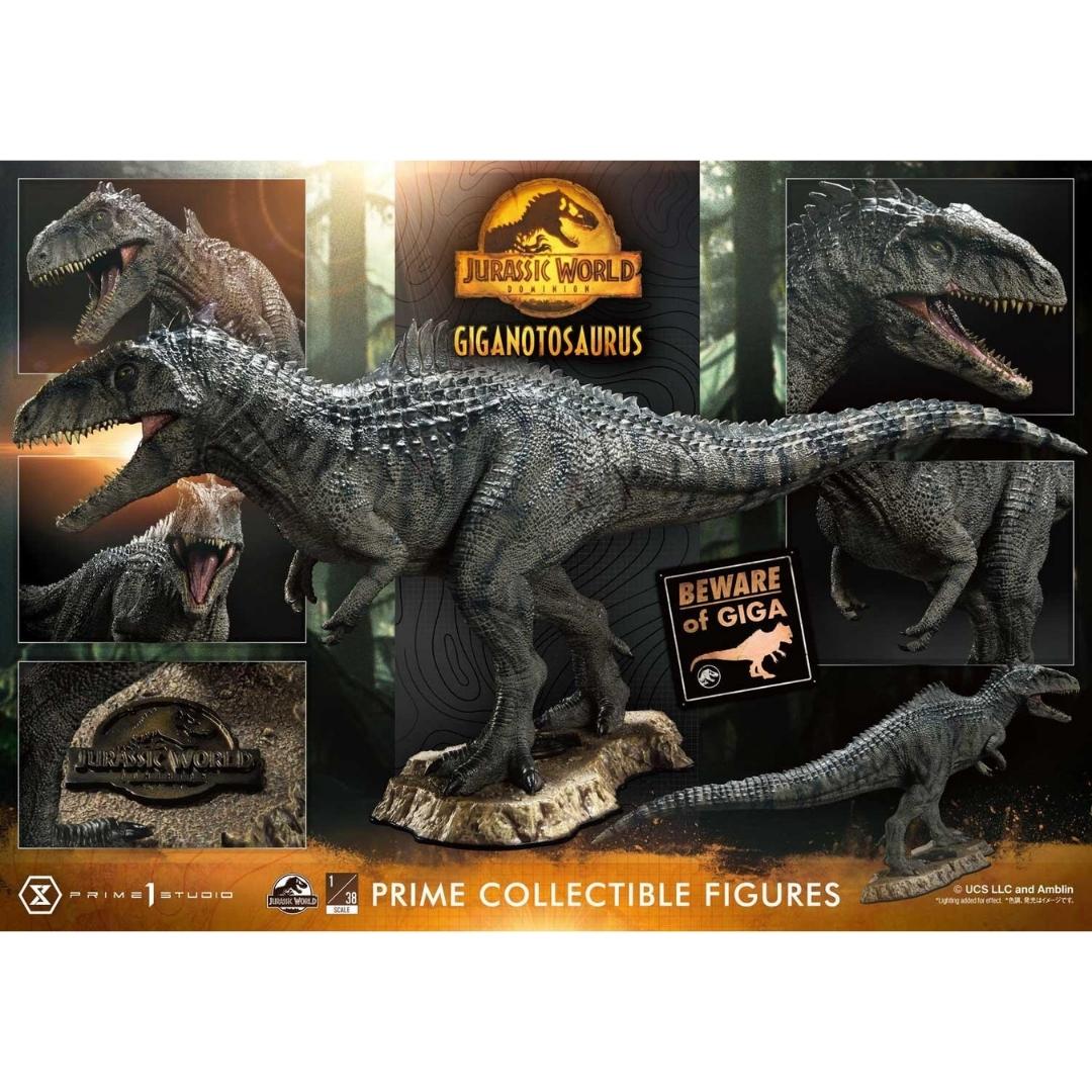 Jurassic World: Dominion (Film) Giganotosaurus Statue by Prime 1 Studio -Prime 1 Studio - India - www.superherotoystore.com