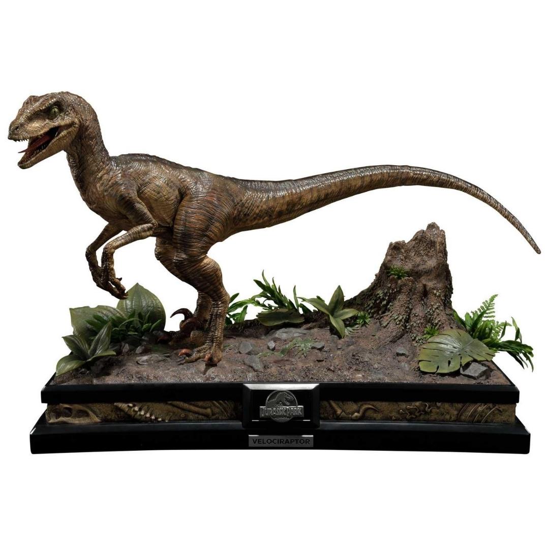 Jurassic Park Velociraptor Statue Open Mouth Version by Prime 1 Studio -Prime 1 Studio - India - www.superherotoystore.com