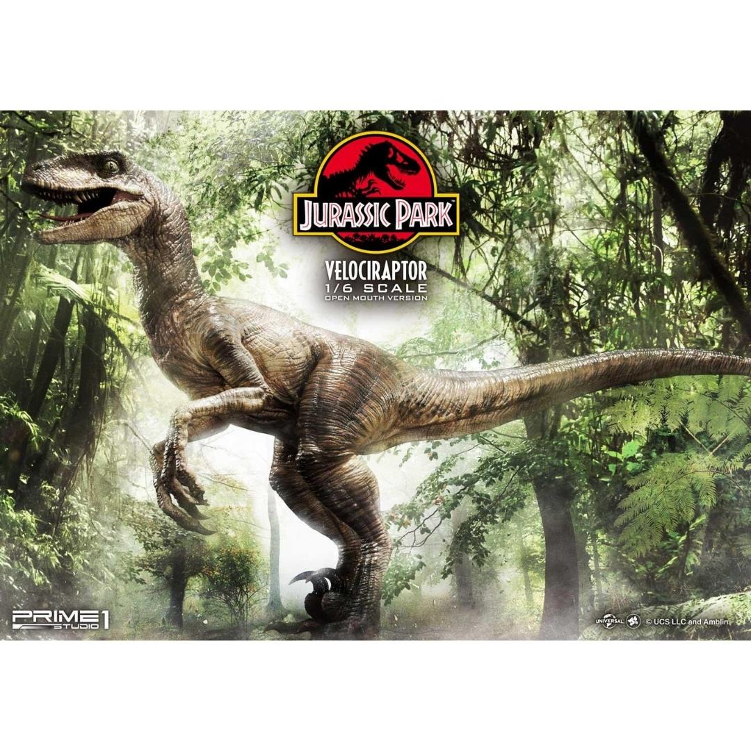 Jurassic Park Velociraptor Statue Open Mouth Version by Prime 1 Studio -Prime 1 Studio - India - www.superherotoystore.com