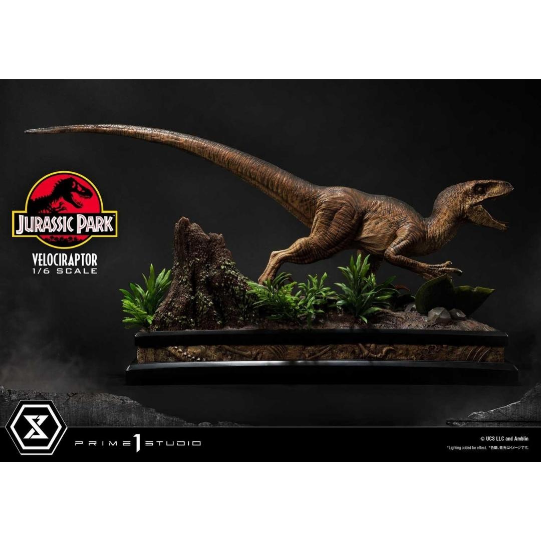 Jurassic Park Velociraptor Statue Attack by Prime 1 Studio -Prime 1 Studio - India - www.superherotoystore.com