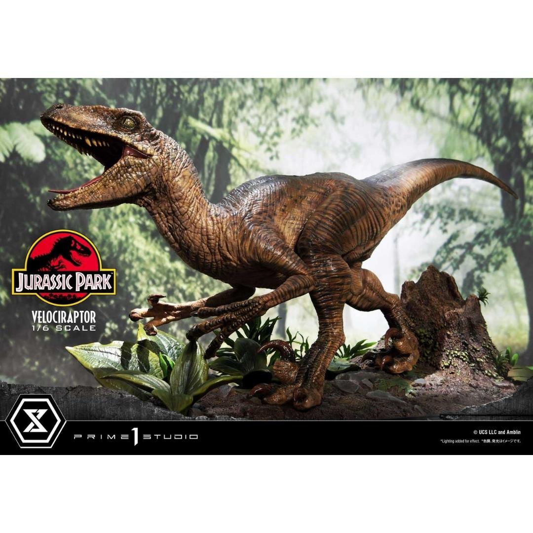 Jurassic Park Velociraptor Statue Attack by Prime 1 Studio -Prime 1 Studio - India - www.superherotoystore.com