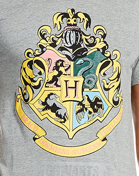 Harry Potter Slate Melange Half Sleeve T-Shirt by Bio World -Bio World - India - www.superherotoystore.com