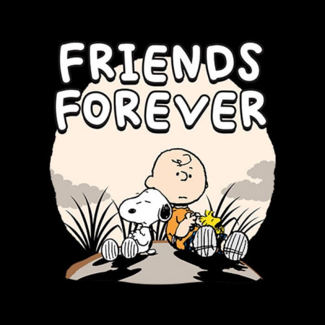 PEANUTS: FRIENDS FOREVER - PEANUTS OFFICIAL T-SHIRT -Redwolf - India - www.superherotoystore.com