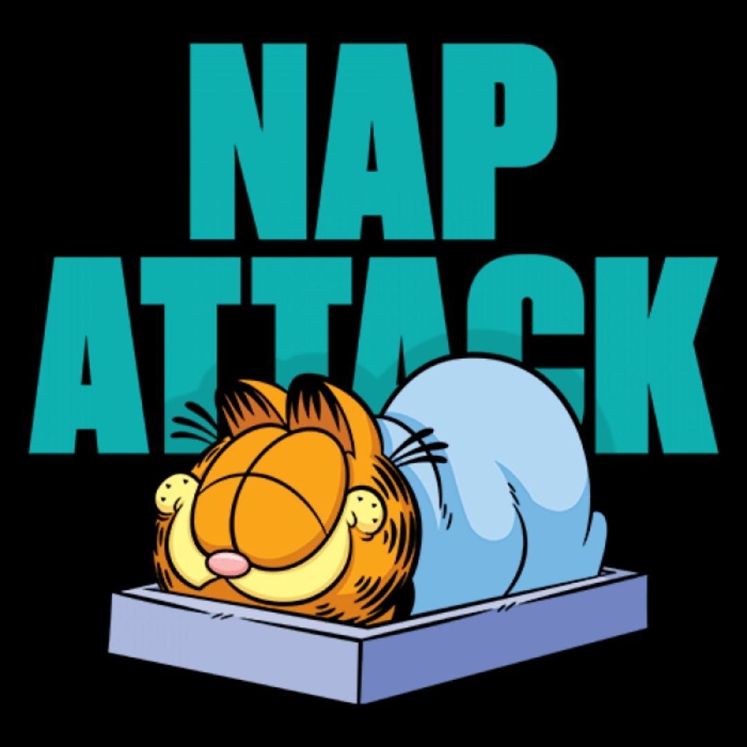 NAP ATTACK - GARFIELD OFFICIAL T-SHIRT -Redwolf - India - www.superherotoystore.com