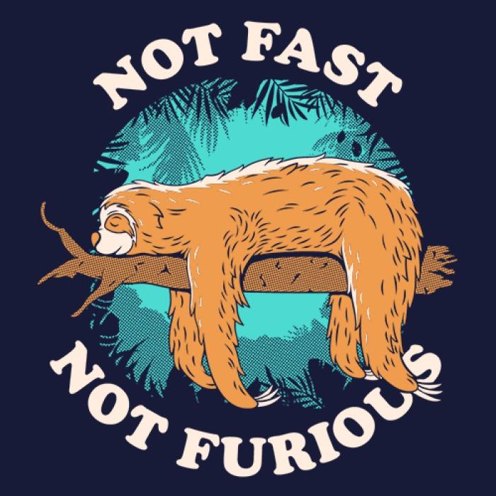 Not Fast Not Furious T-Shirt -Redwolf - India - www.superherotoystore.com